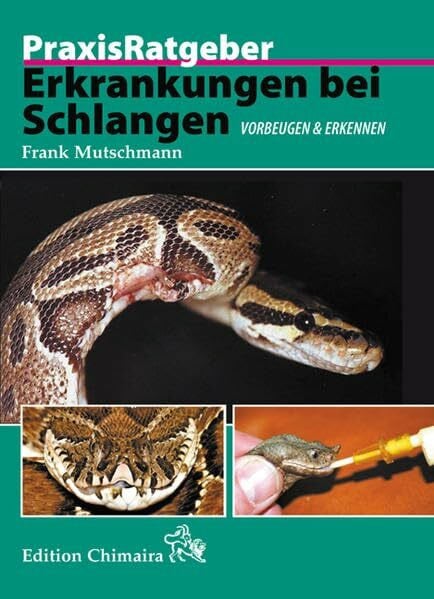 Mutschmann, Frank Erkrankungen bei Schlangen: Vorbeugen und erkennen: Vorbeugen & erkennen (Praxis Ratgeber)