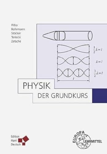 Zetsche, Hartmut Physik - Der Grundkurs