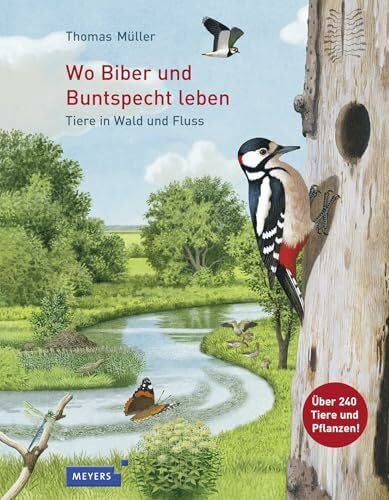 Müller, Thomas Wo Biber und Buntspecht leben: Tiere in Wald und Fluss