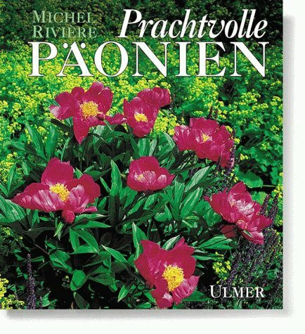 Schulte-Scherlebeck, Martin Prachtvolle Päonien