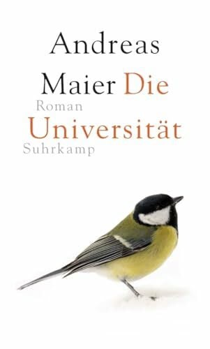 Maier, Andreas Die Universität: Roman (Ortsumgehung 6)