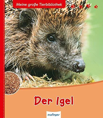 Tracqui, Valérie Meine große Tierbibliothek: Der Igel