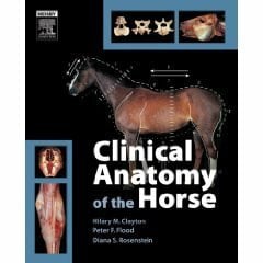 Flood, Peter F. Clinical Anatomy of The Horse