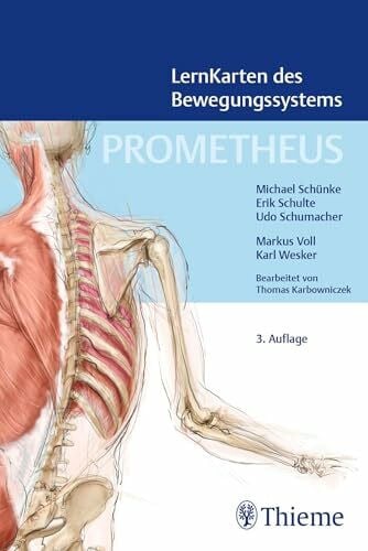 Schumacher, Udo PROMETHEUS LernKarten des Bewegungssystems