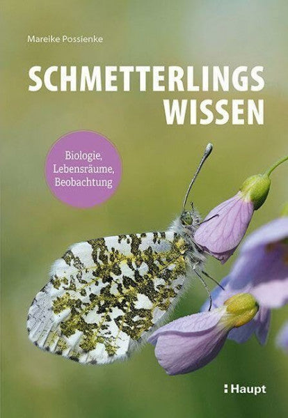 Possienke, Mareike Schmetterlingswissen: Biologie, Lebensräume, Beobachtung