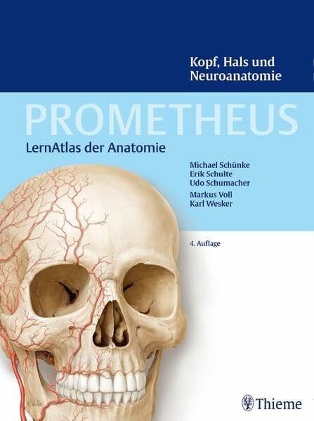 Schumacher, Udo Kopf, Hals und Neuroanatomie (Prometheus: LernAtlas der Anatomie)