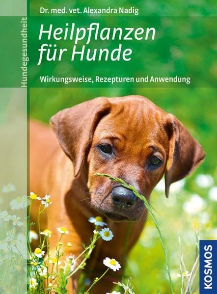 Nadig, Alexandra Heilpflanzen für Hunde: Wirkungsweise, Rezepturen und Anwendung