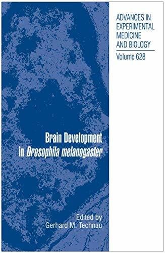 Technau, Gerhard Martin Brain Development in Drosophila melanogaster (Advances in Experimental Medicine and Biology, 628, Band 628)