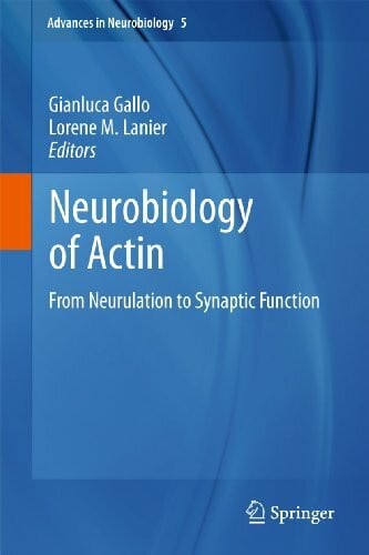 Lanier, Lorene M Neurobiology of Actin: From Neurulation to Synaptic Function (Advances in Neurobiology, 5, Band 5)