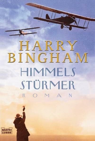 Bingham, Harry Himmelsstürmer (Allgemeine Reihe. Bastei Lübbe Taschenbücher)