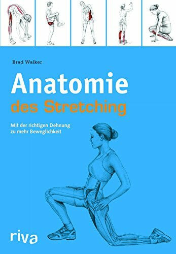 Walker, Brad Anatomie des Stretchings: Mit der richtigen Dehnung zu mehr Beweglichkeit