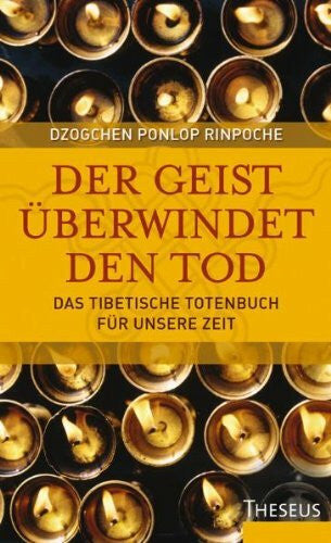 Schnoor, Brigitte Der Geist überwindet den Tod: Das Tibetische Totenbuch für unsere Zeit