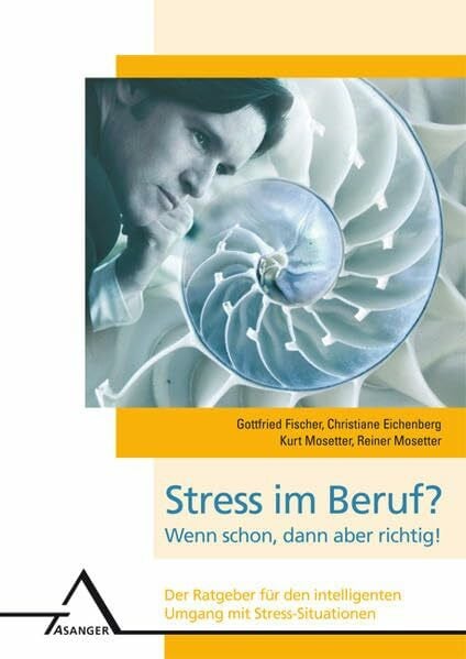 Mosetter, Reiner Stress im Beruf? Wenn schon, dann aber richtig!: Der Ratgeber für den intelligenten Umgang mit Stress-Situationen