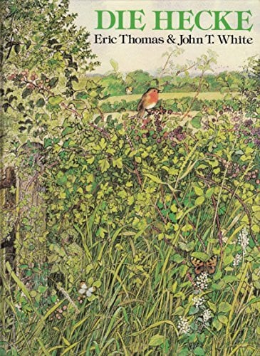 Die Hecke