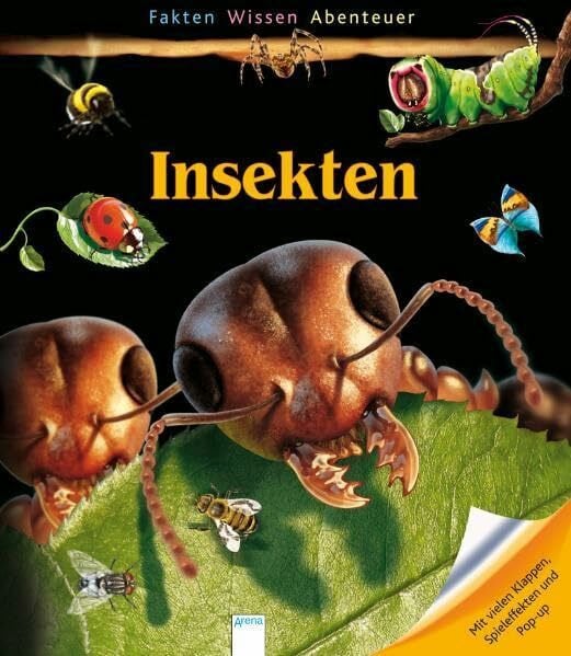 Boyer, Alain Insekten (Fakten - Wissen - Abenteuer junior)