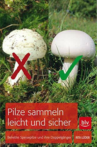 Lüder, Rita Pilze sammeln leicht und sicher: Beliebte Speisepilze und ihre Doppelgänger (BLV Pilze)