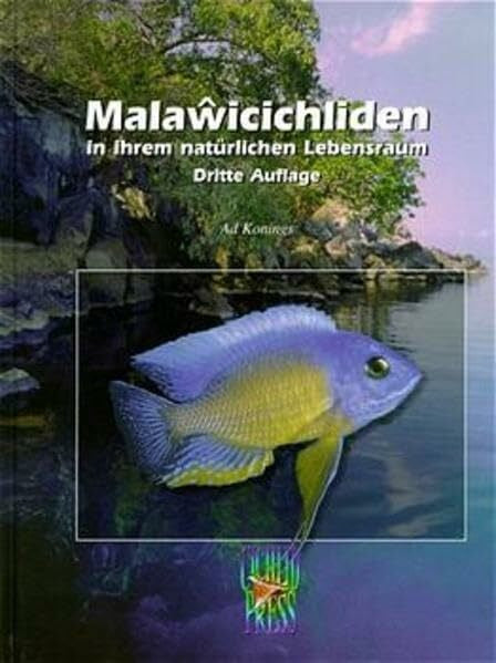 Konings, Gertrud Malawicichliden in ihrem natürlichen Lebensraum