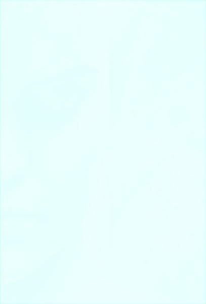 Schotter, Benjamin K Schotters seltsames und sinnloses Summelsarium: Das Handbuch der völlig überflüssigen Informationen und hirnerweichenden Nutzlosigkeiten