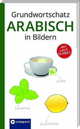 Aboelsoud, Amr Grundwortschatz Arabisch in Bildern: Mit Lautschrift (Grundwortschatz in Bildern)