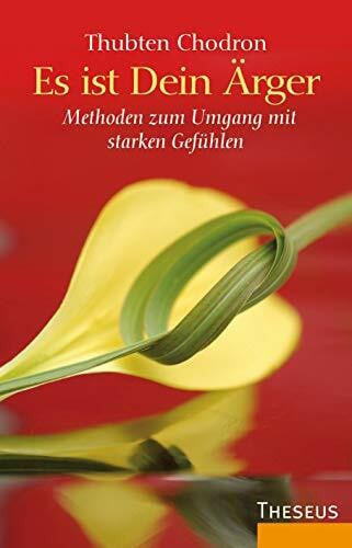 Schweiberer, Birgit Es ist Dein Ärger: Methoden zum Umgang mit starken Gefühlen