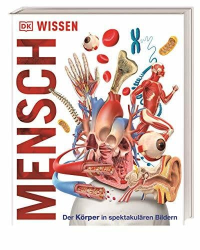 DK Verlag - Kids DK Wissen. Mensch: Der Körper in spektakulären Bildern. Für Kinder ab 8 Jahren