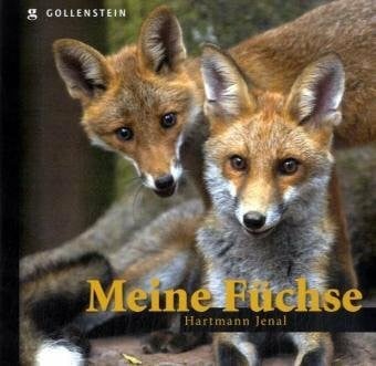 Jenal, Hartmann Meine Füchse: Bildband