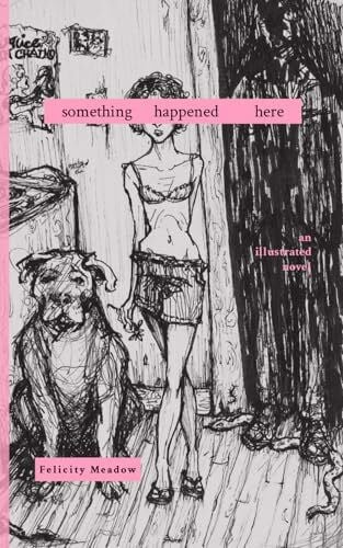 Meadow, Felicity Something Happened Here: an illustrated novel