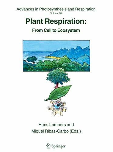 Universitat Illes Balears Plant Respiration: From Cell to Ecosystem (Advances in Photosynthesis and Respiration, 18, Band 18)