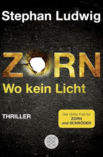 Ludwig, Stephan Zorn - Wo kein Licht: Thriller (Zorn 3)