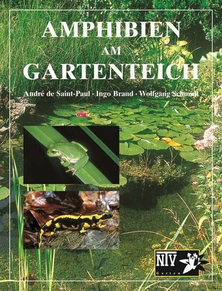 Schmidt, Wolfgang Amphibien am Gartenteich