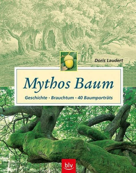 Laudert, Doris Mythos Baum: Geschichte - Brauchtum - 40 Baumporträts