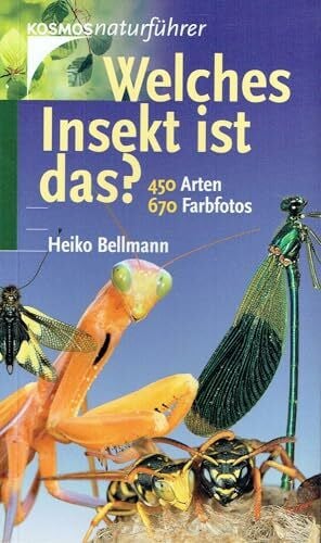 Bellmann, Heiko Welches Insekt ist das?: 450 Insektenarten