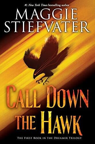 Stiefvater, Maggie Call Down the Hawk: Volume 1 (Dreamer Trilogy, 1, Band 1)