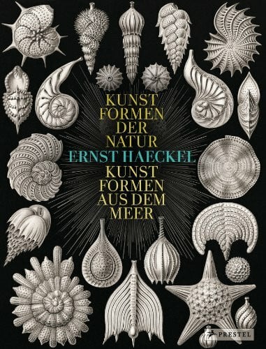 Breidbach, Olaf Ernst Haeckel: Kunstformen der Natur - Kunstformen aus dem Meer