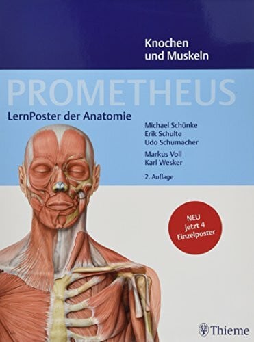 Schumacher, Udo PROMETHEUS LernPoster der Anatomie, Knochen und Muskeln