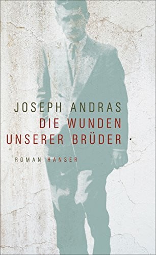 Hamm, Claudia Die Wunden unserer Brüder: Roman