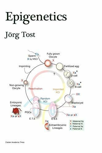 Tost, Jorg Epigenetics