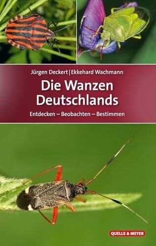 Wachmann, Ekkehard Die Wanzen Deutschlands: Entdecken – Beobachten – Bestimmen (Quelle & Meyer Bestimmungsbücher)