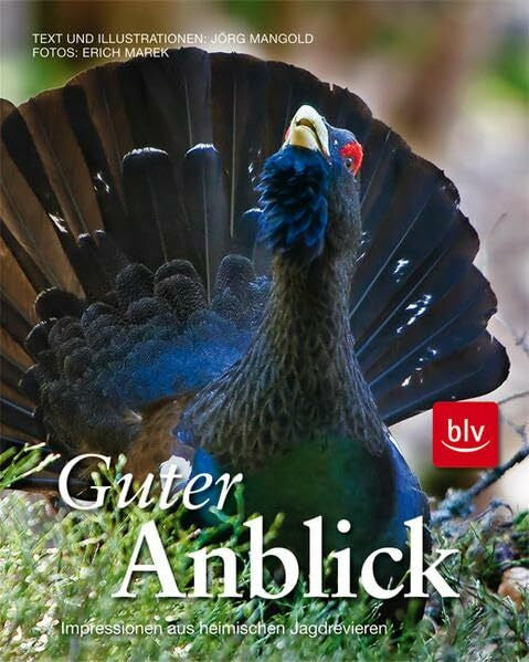 Marek, Erich Guter Anblick: Impressionen aus heimischen Jagdrevieren