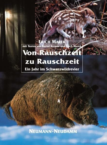 Marek, Erich Von Rauschzeit zu Rauschzeit: Ein Jahr im Schwarzwildrevier
