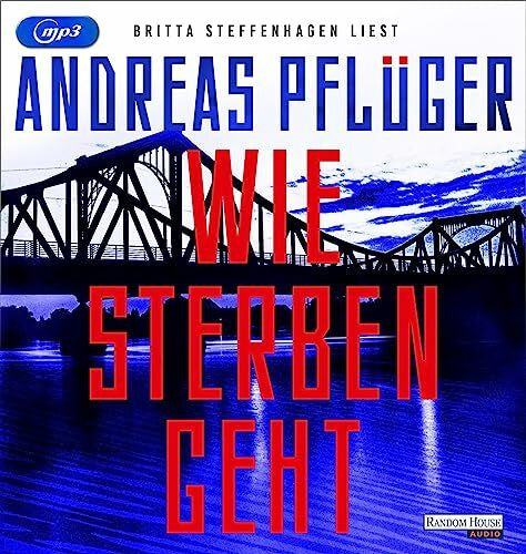 Steffenhagen, Britta Wie Sterben geht