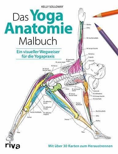 Stutzman, Samantha Das Yoga-Anatomie-Malbuch: Ein visueller Wegweiser für die Yogapraxis. Mit über 30 Karten zum Heraustrennen