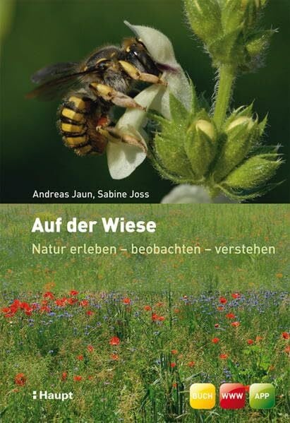 Jaun, Andreas Auf der Wiese: Natur erleben - beobachten - verstehen