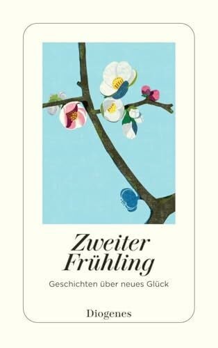 diverse Autoren Zweiter Frühling: Geschichten über neues Glück (detebe)