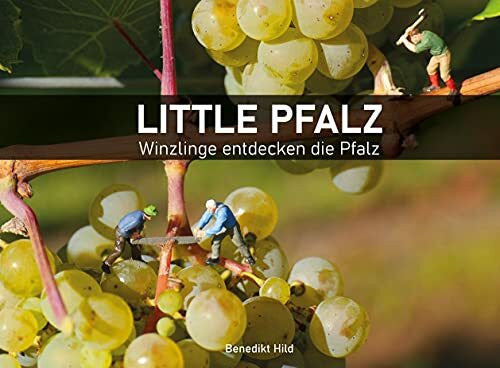 Hild, Benedikt Little Pfalz: Winzlinge entdecken die Pfalz