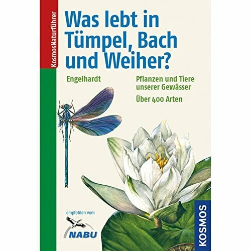 Rehfeld, Klaus Was lebt in Tümpel, Bach und Weiher?: Pflanzen und Tiere unserer Gewässer