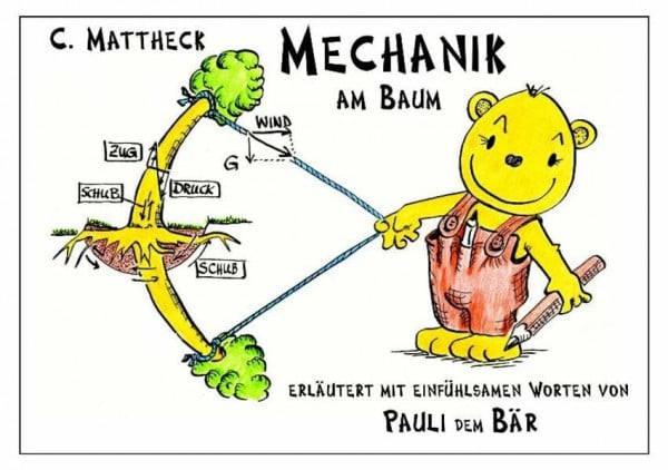 Mattheck, Claus Mechanik am Baum: Erläutert mit einfühlsamen Worten von Pauli dem Bär