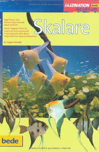 Schmidt, Jürgen Skalare, Faszination