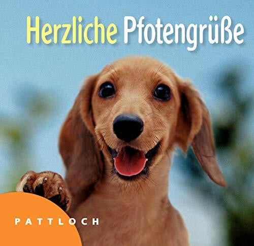 Stein, Vera Herzliche Pfotengrüße
