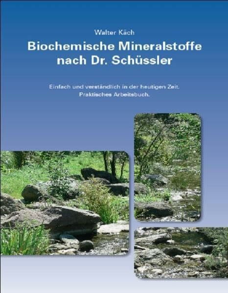 Druckerei Eblkon AG Biochemische Mineralstoffe nach Dr. Schüssler: Einfach und Verständlich in der heutigen Zeit. Praktisches Arbeitsbuch